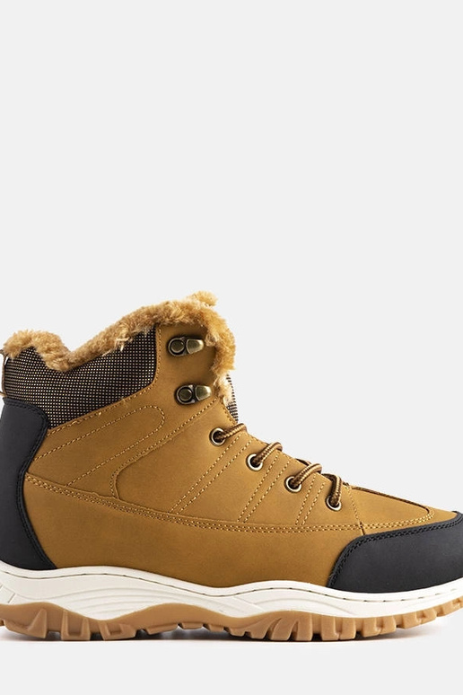 Brune isolerede Violette støvler Brune isolerede Violette støvler