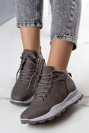 Adleri grå isolerede... 2