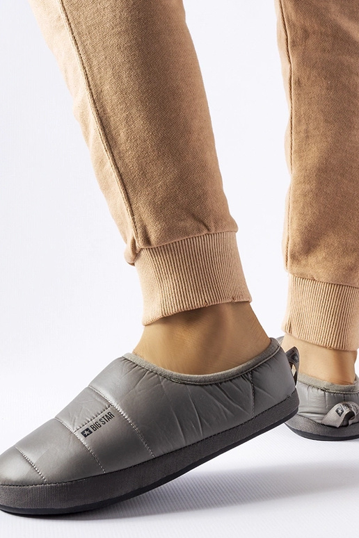 Big Star KK274603 Grå isolerede...