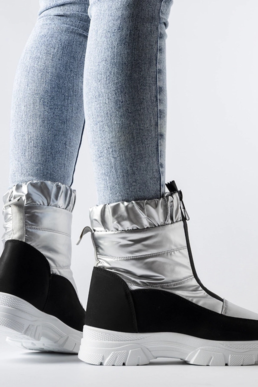 Controni sølv og sorte isolerede...