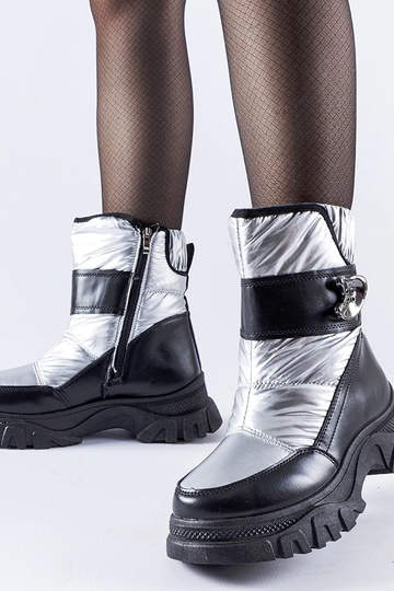 Sort og sølv isolerede... 2