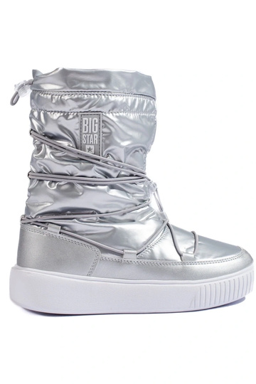 Geïsoleerde zilveren...