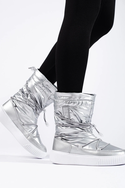 Geïsoleerde zilveren snowboots voor...