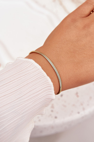 Chirurgisch staal gouden slangenarmband