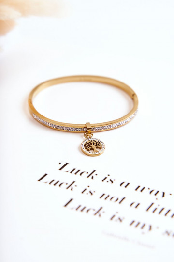 Stalen armband met zirkonium gaten Boom van leven gouden kleur Alive