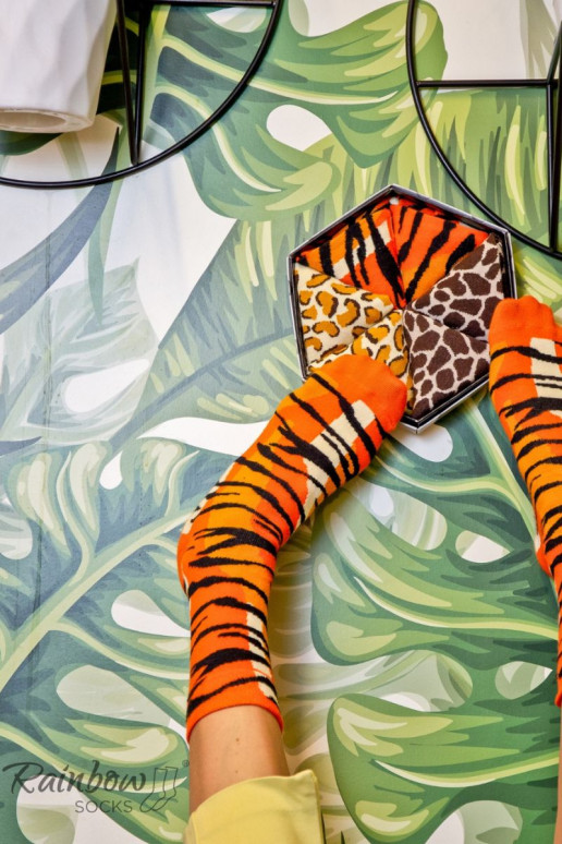 Kleurrijke sokken in doosje met motieven van wilde dieren, 3 paar Kleurrijke sokken in doosje met motieven van wilde dieren, 3 paar