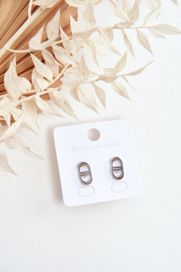 Ovale oorbellen in zilverkleur 2