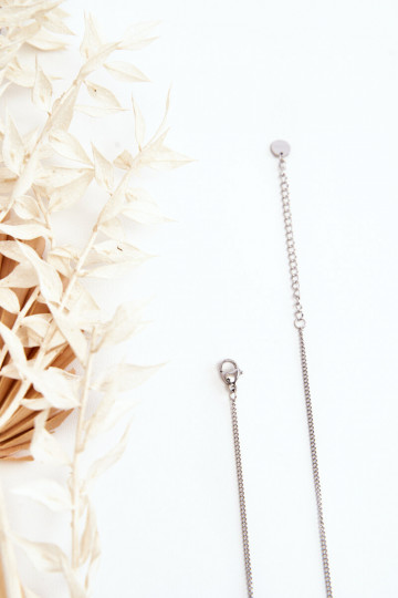 Ketting gemaakt van roestvrij staal in zilverkleur 2